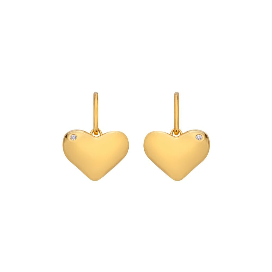 Hot Diamonds X Golden Edit Desire Hook Earrings